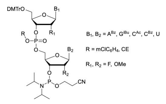 Dimer Phosphoramidites-Towards Higher Yields and Purity Control for Oligonucleotide APIs