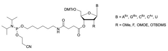5'-Phosphoramidites, an alternative to special 5'-nucleoside-solid support and UnyLinker-solid support